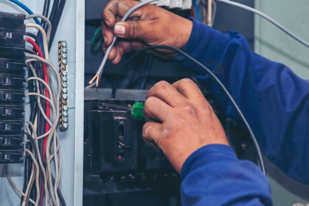 Best Licensed Electrician  in Windsor, CO