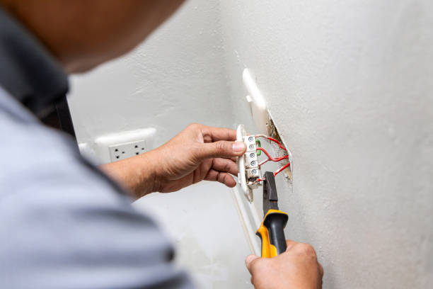 Best Licensed Electrician  in Windsor, CO