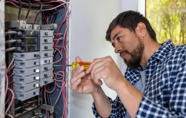 Best Ceiling Fan Installation Electrician  in Windsor, CO